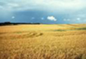 la Beauce