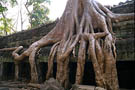 angkor cambodge lemaire