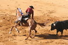 corrida lemaire